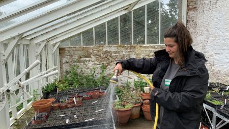 Ana: Garden apprentice on Horticulture or Landscape Operative level 2 image